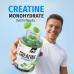 ALL STARS Creatine Gummies – Зеленое яблоко 90 100% Креатин моногидрат ALL STARS Creatine Gummies – Зеленое яблоко 90 100% Креатин моногидрат